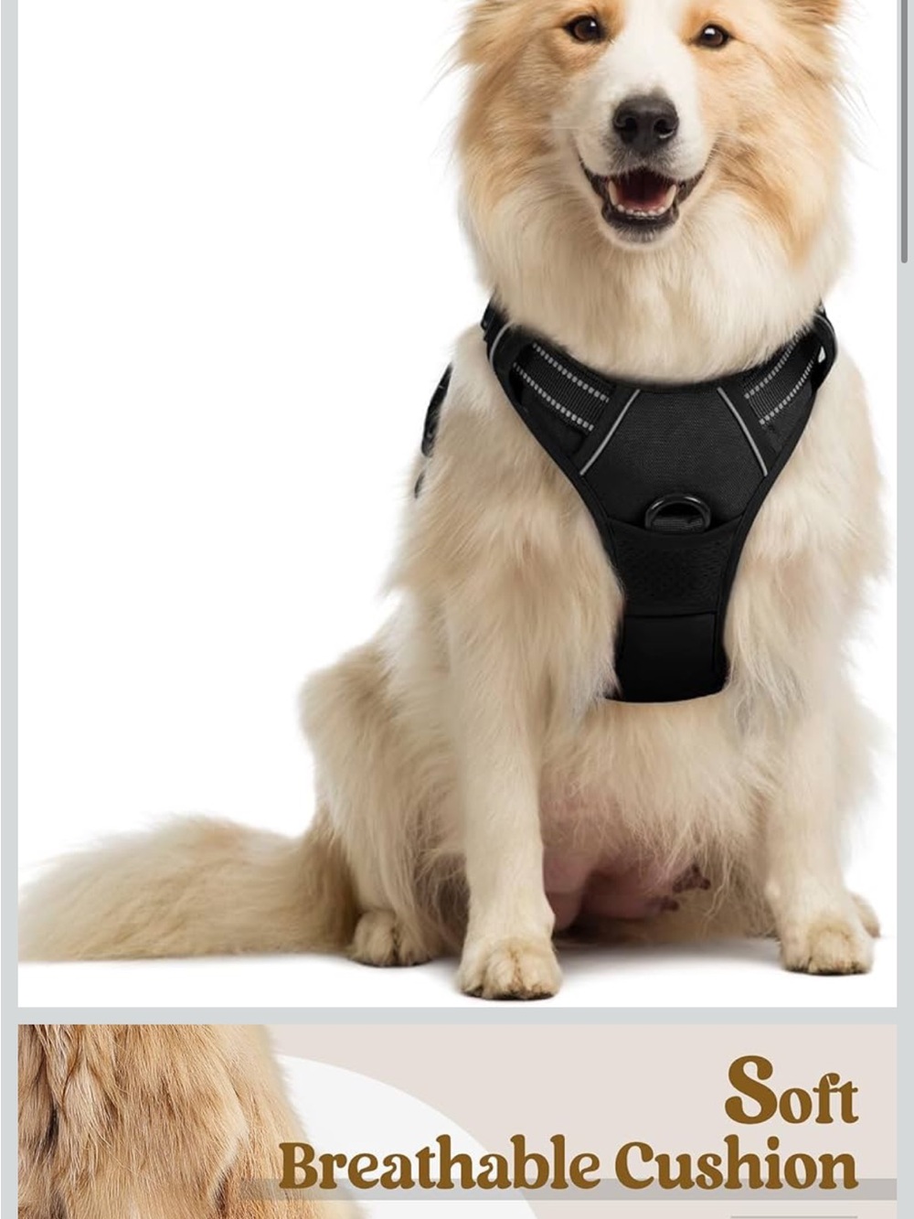 rabbitgoo Dog Harness No Pull with 2 Leash Clips, Adjustable Soft Padded Medium